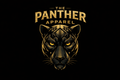 Sweatpants — The Panther Set